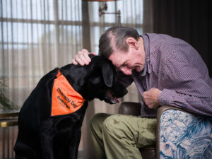 A man patting a Therapy Dog.