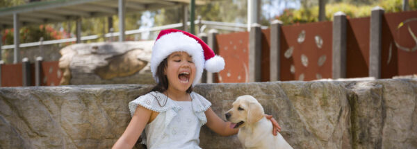 Better than anything Santa can deliver.