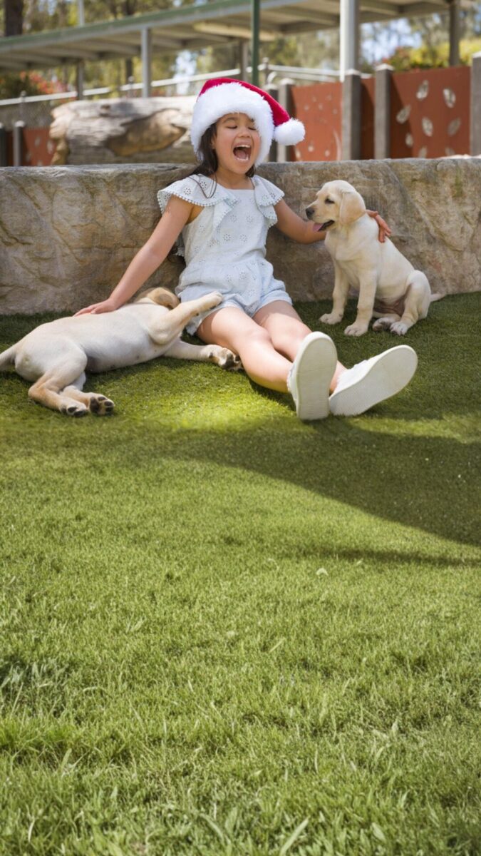 Give a gift that tops their wish list.