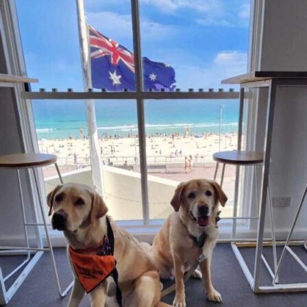 Guide Dogs NSW/ACT supports first responders after the Bondi attack.