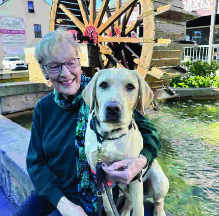 A woman hugging a yellow Labrador