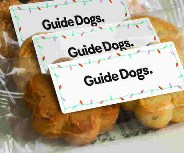 Packets of biscuits with the Guide Dogs logo