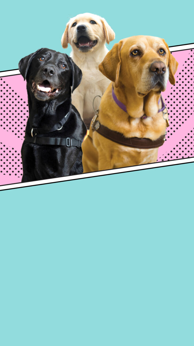 Not all heroes wear capes. Some wear harnesses. 