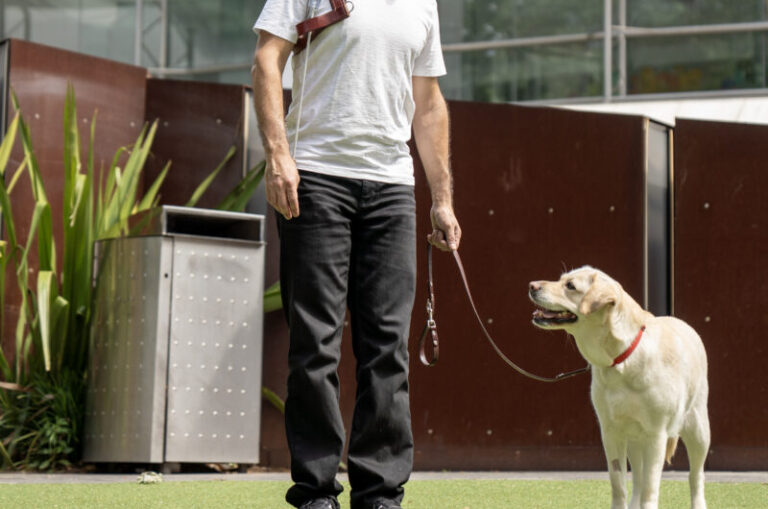 A person standing outside next to a yellow Labrador guide dog