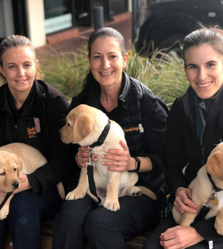 Year of the Dog: our highlights of 2018