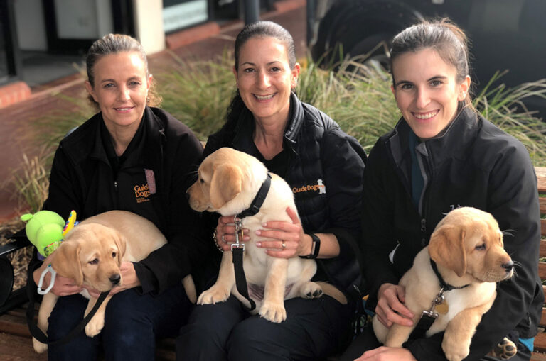 Year of the Dog: our highlights of 2018