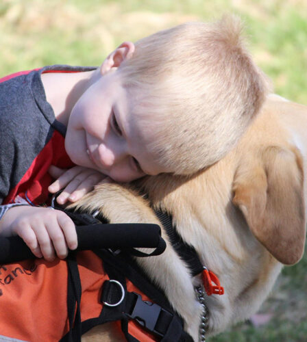 Legal access rights: Lachlan and Zeke