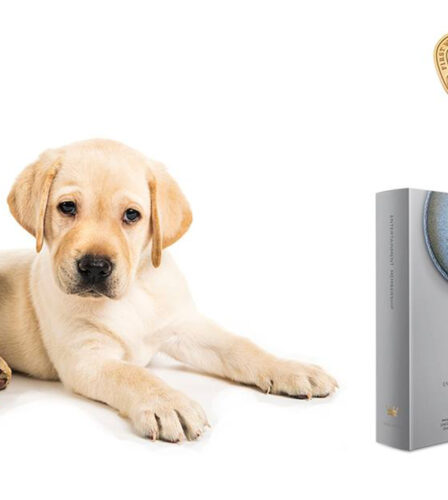 Entertainment Books 2019/2020