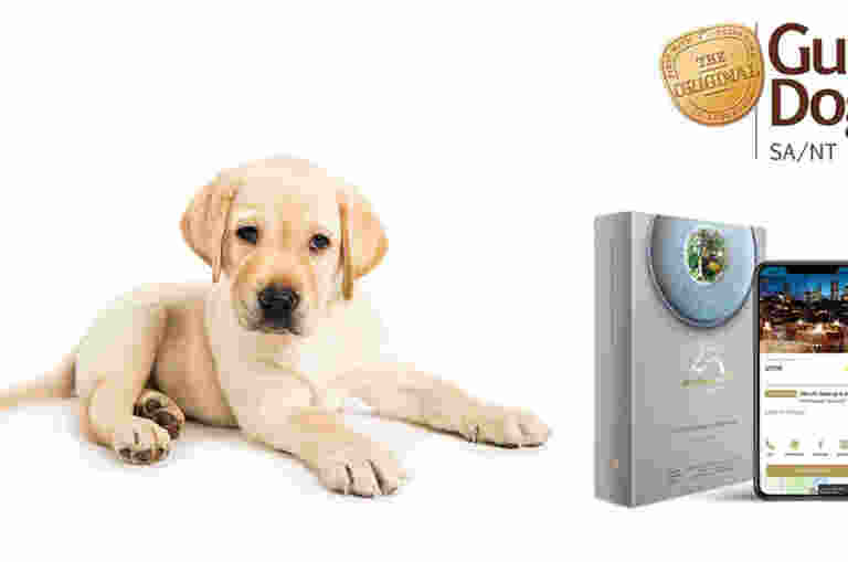 A Yellow Labrador puppy sitting next to the Entertainment Book membership and App