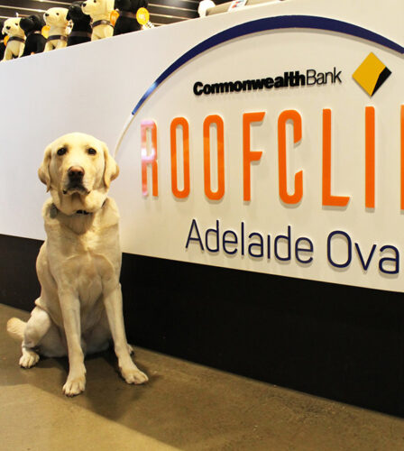 Guide Dogs SA/NT clients take on Adelaide Oval RoofClimb