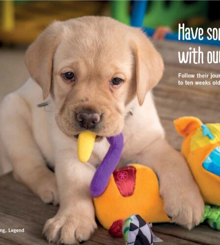 Paw Prints Spring 2019