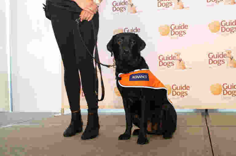 Esky on stage with handler Kirsty