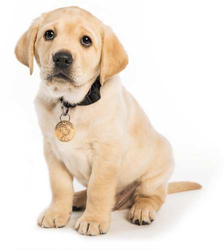 White cane symbol of ability for new Master