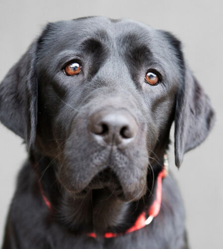 New Year Resolutions