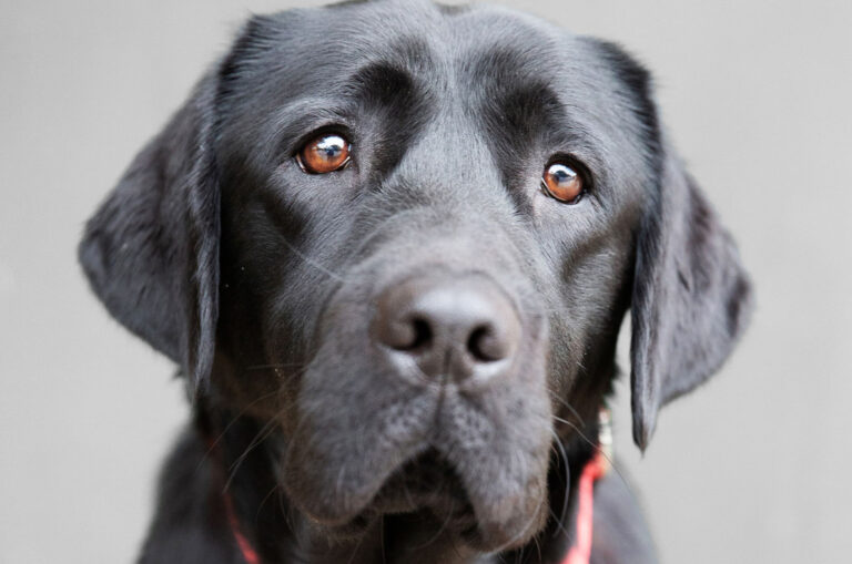 New Year Resolutions