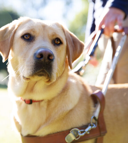 Legislative Changes to Prevent Discrimination