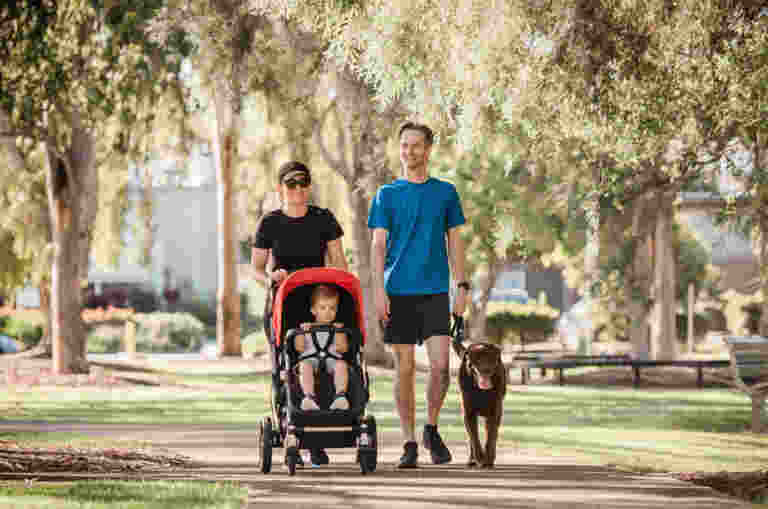 A Mother pushes a pram whilst her husband walks their Guide Dog on a stroll through the park.