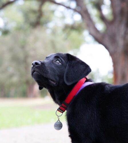 The Long and Winding Road