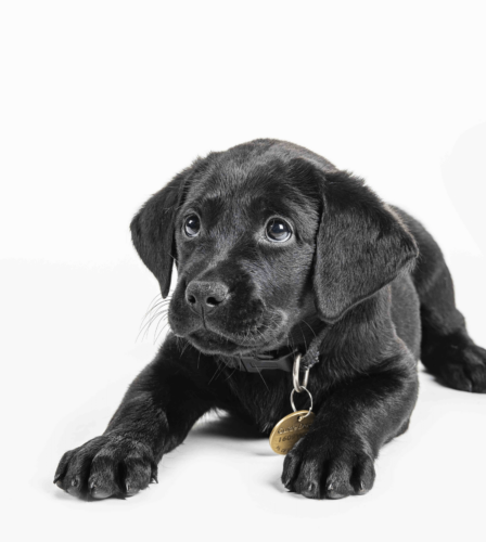 Paul Bevan&#8217;s Query &#8211; Why you Should Donate!