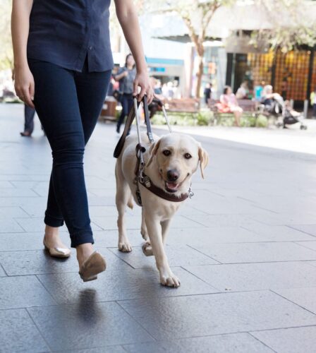 Taking the lead with accommodation access