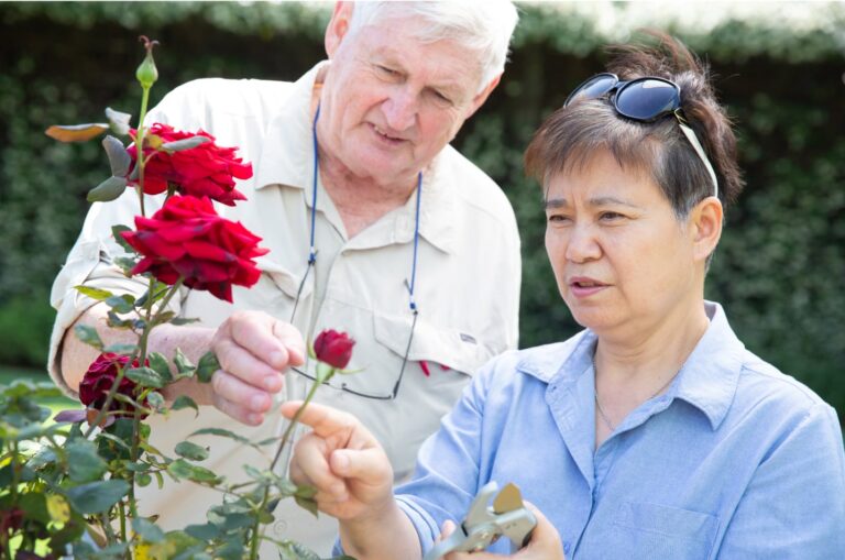 Two people looking at some flowers in a garden.