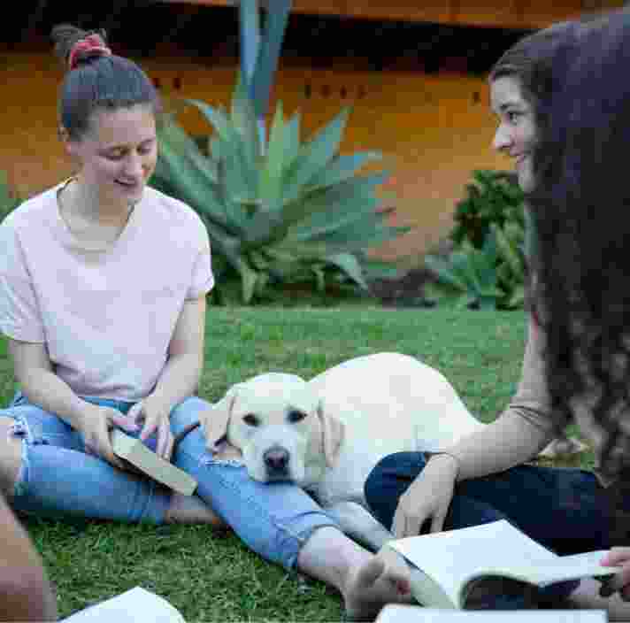 A group of four young adults sitting outside on the grass. There is a yellow labrador dog sitting with them and the dogs head is resting on one of the young adults legs.