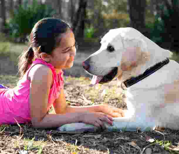 A young child laying down looking into the face of a yellow labrador dog with a smile on their face, They are both outside and are sitting facing each other.