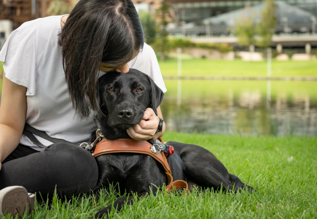 A Black Guide Dog in harness laying on grass looking at the camera. A person is sitting next to the Guide Dog and is leaning over, kissing the Guide Dog on the head.