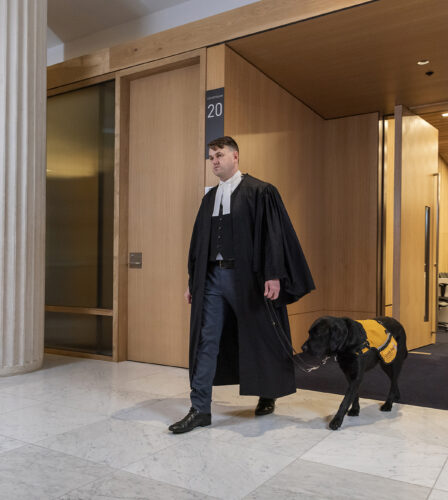 All rise for Zero, our hero!