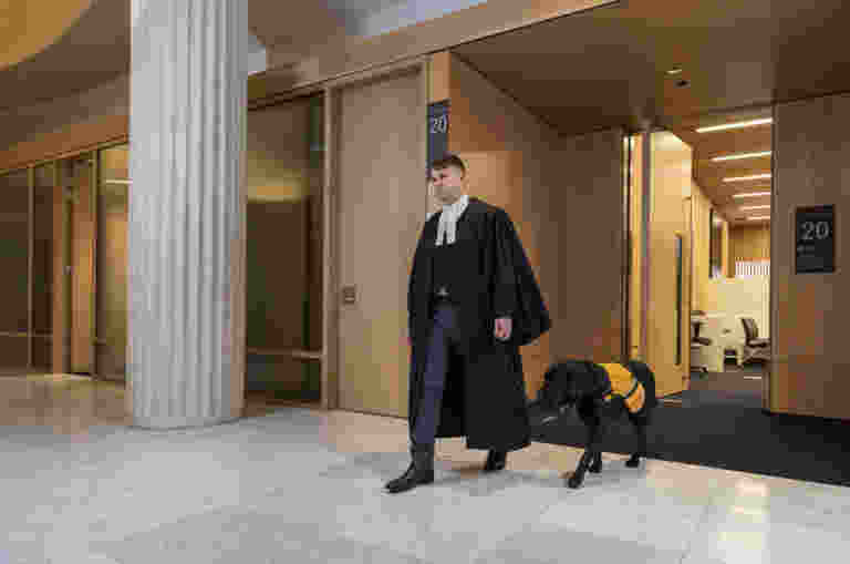 A Black Labrador, Zero, wearing a yellow jacket walking out of a courtroom with his handler, Darren, who is wearing robes.