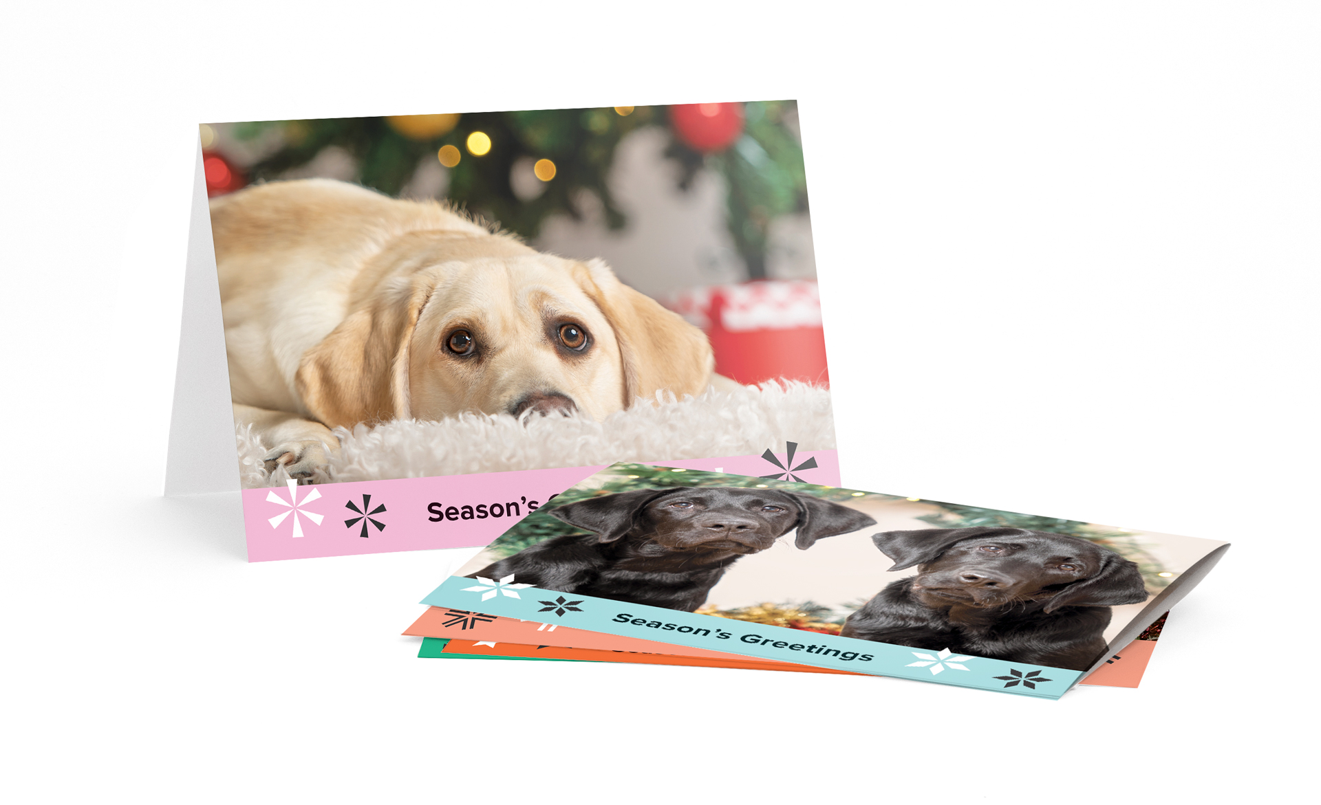 Christmas Cards Colour (10 Pack) Guide Dogs SA/NT