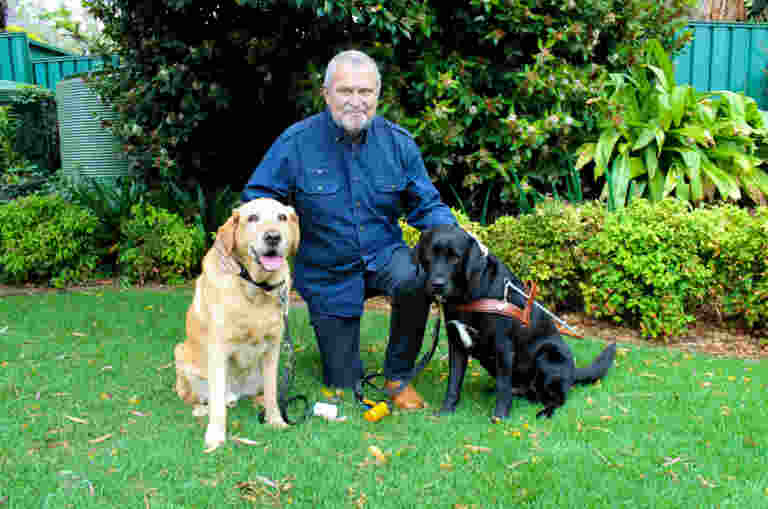 Man kneeling on grass between two Labradors, with a yellow dog on the left and a black guide dog on the right. Green foliage in the background.