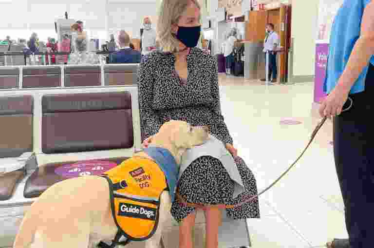 A woman sits in an airport waiting area with a guide dog wearing a yellow vest. She is looking at the dog while another person holds its leash. Passengers and signs are visible in the background.