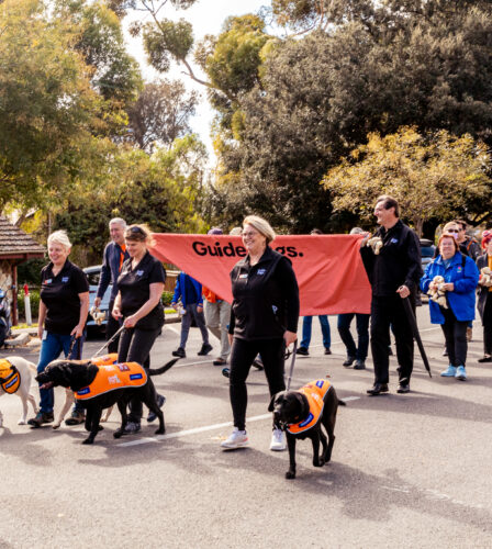 Last week we celebrated National Volunteer Week!