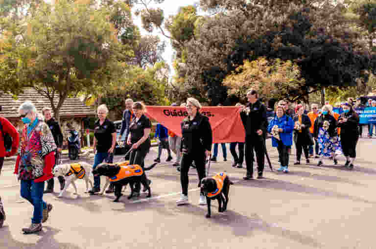 A group of people and guide dogs walk down a street, with a banner reading Guide Dogs in the background.