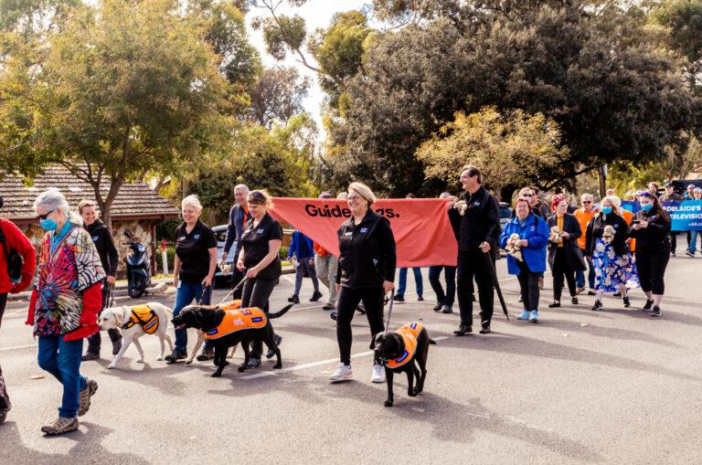 Last week we celebrated National Volunteer Week!