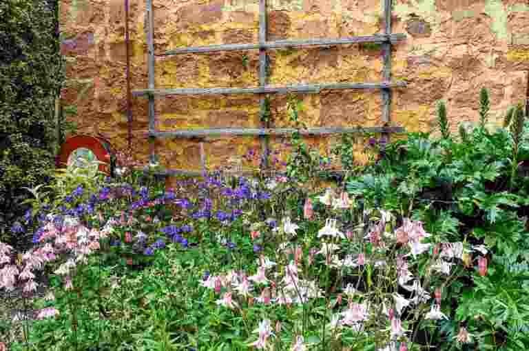 Garden with colorful flowers and green foliage in front of a rustic stone wall with wooden trellis.