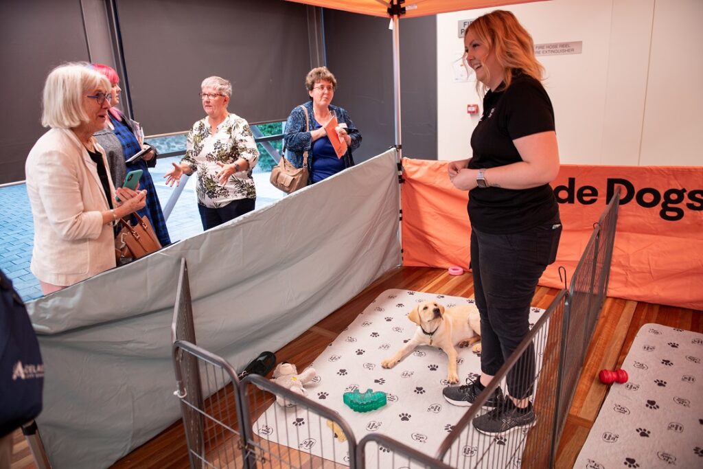 A photo of Puppy-In-Training Jarby meeting supporters in the Puppy Pen, waiting for his next treat.