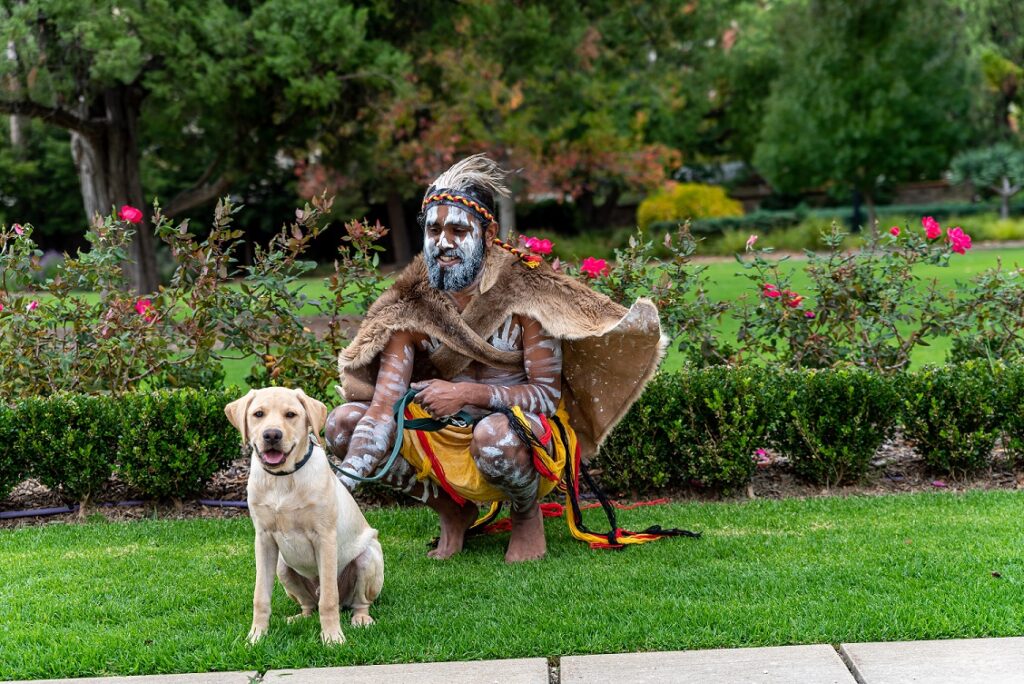 Cliffy Wilson, wearing traditional Aboriginal dress, kneeling on grass with Jarby, a yellow puppy-in-training.