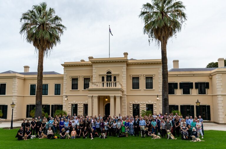 Celebrating International Guide Dog Day 2023!