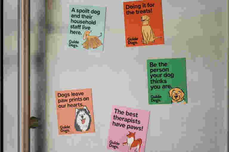 Refrigerator with five colorful magnets featuring dog-themed quotes about companionship and affection.