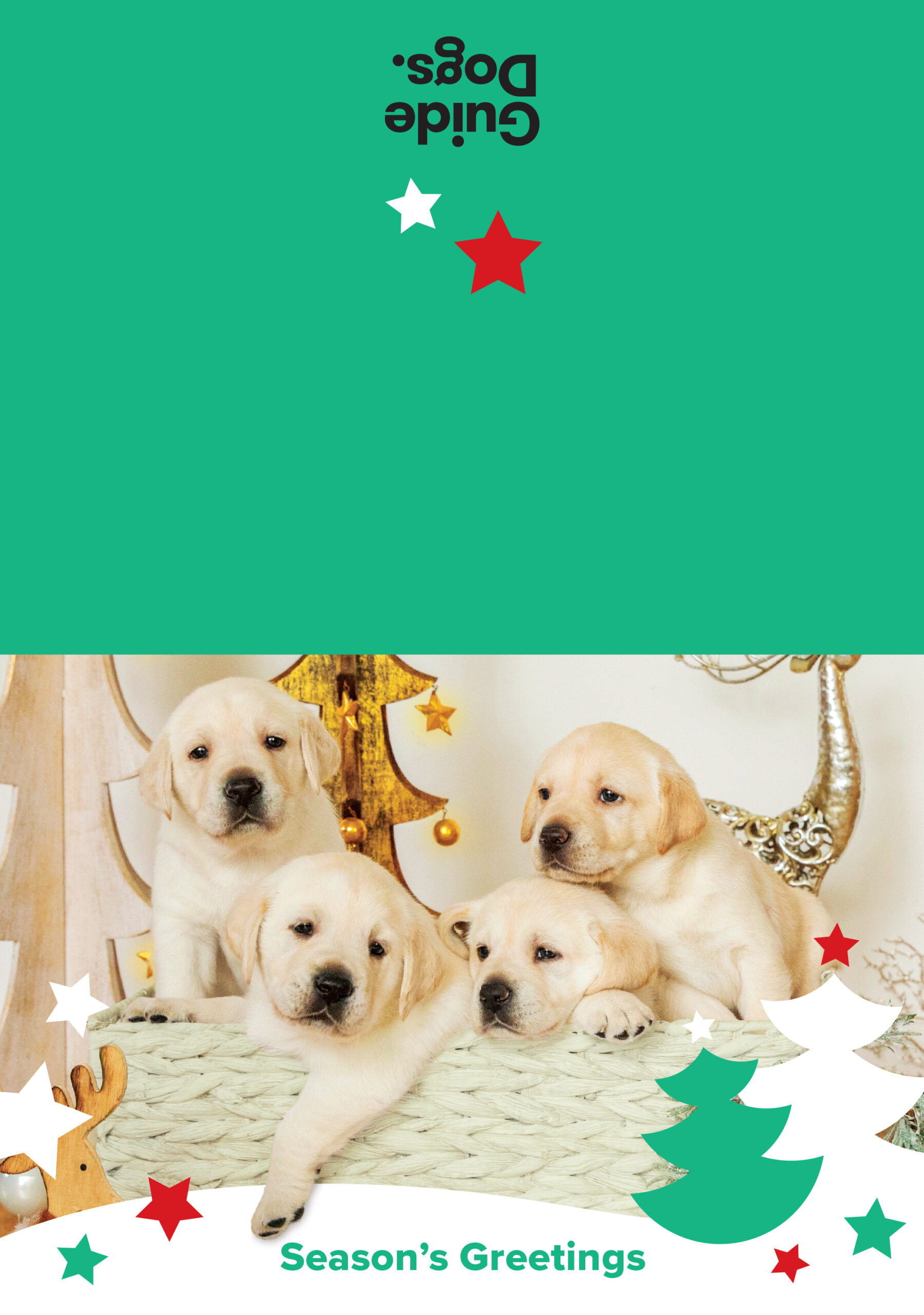 Christmas Cards Red Green 10 pack Guide Dogs SA NT