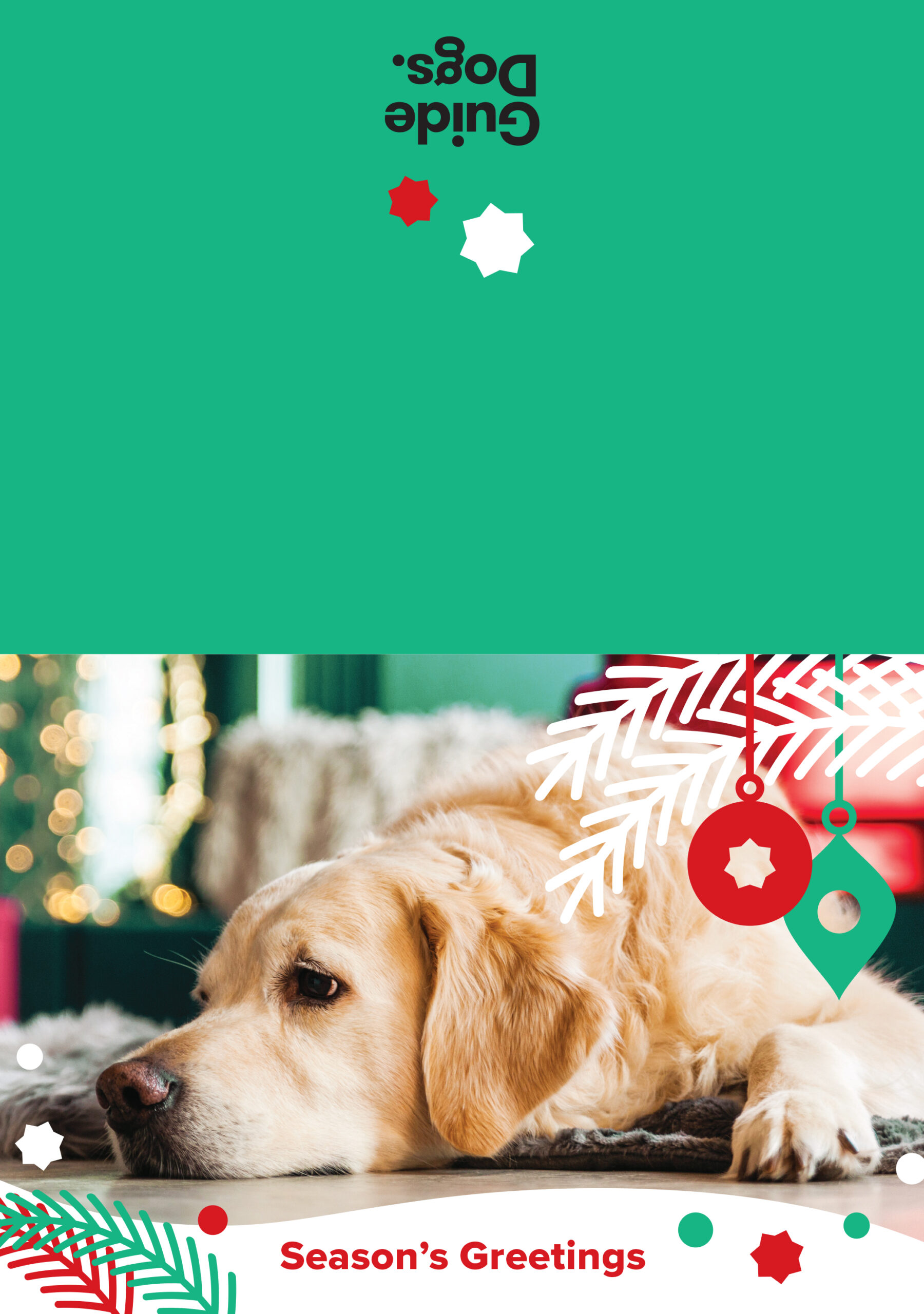 Christmas Cards Red Green 10 volunteer new