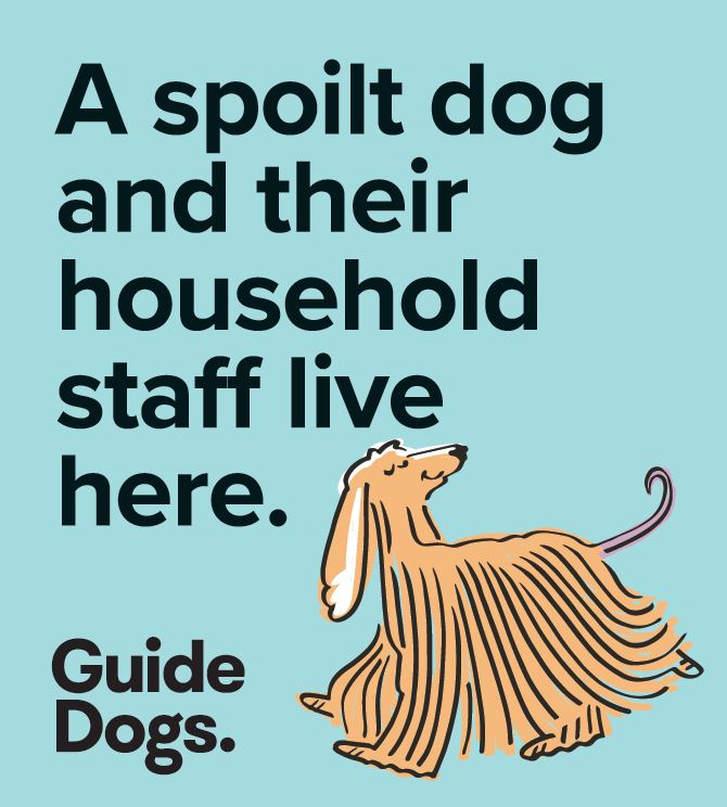 Illustration of a long-haired dog with text: "A spoilt dog and their household staff live here." - Guide Dogs Magnets, 5 Pack.