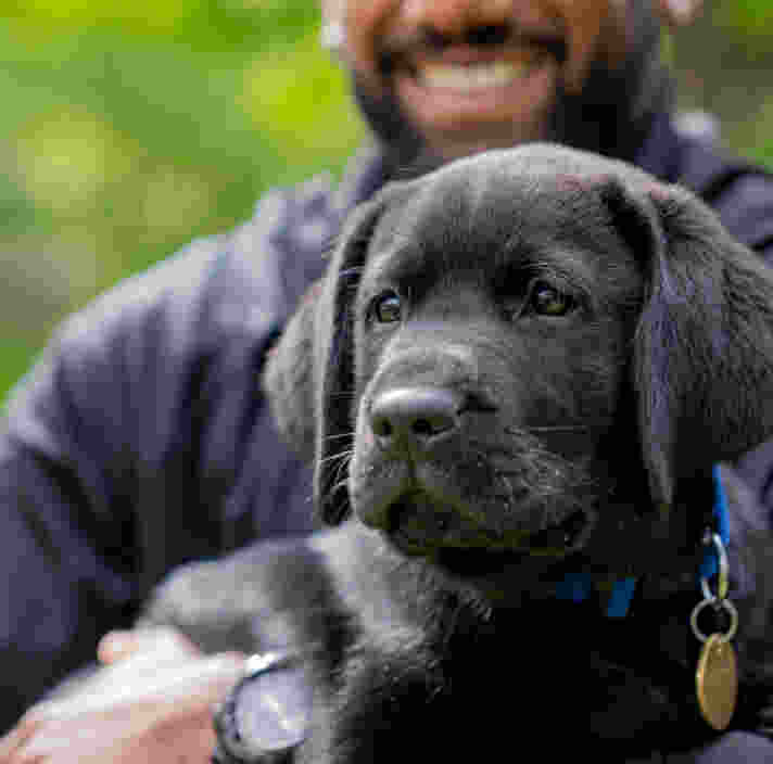 The photos shows a black Labrador puppy and Robbie, Puppy Raiser Advisor in the background.