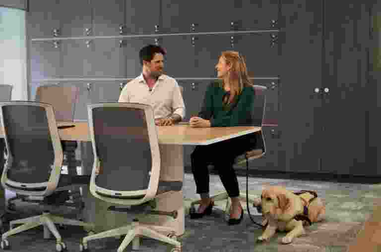 A man and a woman sitting at a conference table, engaged in conversation. A guide dog rests on the floor beside them.