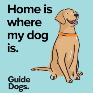 Illustration of a joyful dog sitting beside the text "Home is where my dog is" on a teal backdrop. At the bottom, it reads "Guide Dogs." Available as part of a Magnets-5 Pack.