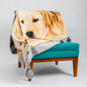 A teal chair with a wooden frame is draped with the Polar Fleece Rug, which features a large printed image of a yellow Labrador retriever’s face.