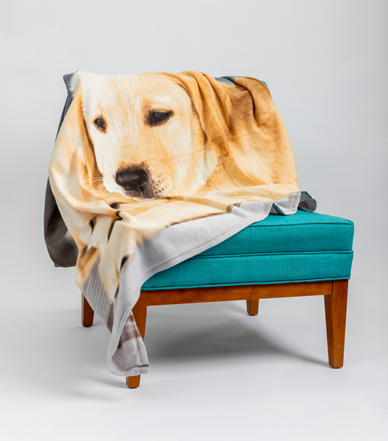 A teal chair with a wooden frame is draped with the Polar Fleece Rug, which features a large printed image of a yellow Labrador retriever’s face.