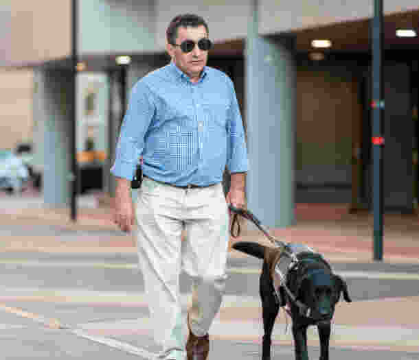 Client, David, walks on the pavement of the Adelaide CBD, guided by black Guide Dog Grant on a harness.